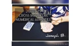 2 Effects: Numerical Affinities And Cross Signature by Joseph B.