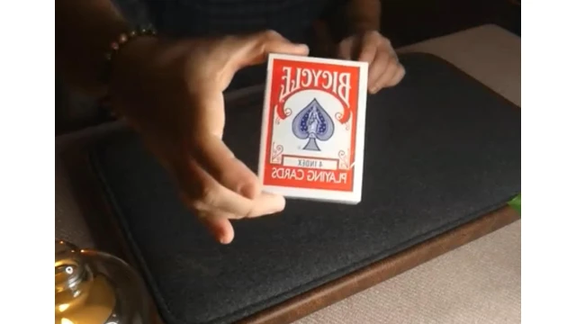 4 Index Bicycle Playing Cards by Jordan Victoria