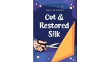 Cut and Restored Silk by Phoa Yan Tiong Cut and Restored Silk by Phoa Yan Tiong