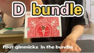 D Bundle by Dingding D Bundle by Dingding