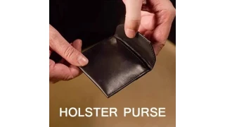 Holster Purse by Alex and Kevin Chao