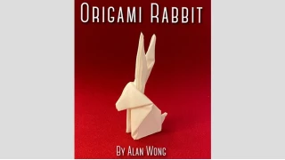 Origami Rabbit by Alan Wong Origami Rabbit by Alan Wong