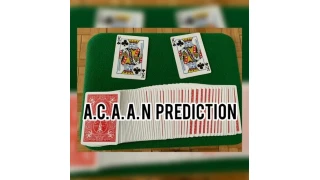 A.C.A.A.N Prediction by Cristian Ciccone