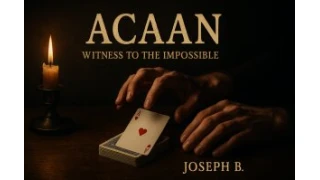 ACAAN, Witness to the Impossible by Joseph B. ACAAN, Witness to the Impossible by Joseph B.