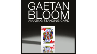 Amazing Standing Card by Gaetan Bloom Amazing Standing Card by Gaetan Bloom