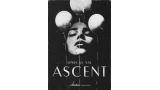 Ascent by Lewis Le Val