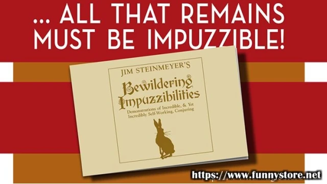 Bewildering Impuzzibilities by Jim Steinmeyer Bewildering Impuzzibilities by Jim Steinmeyer