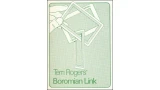 Boromian Link by Teri Rogers