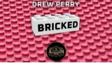 Bricked by Drew Perry & Craig Petty