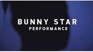 Bunny Star by Zee J. Yan