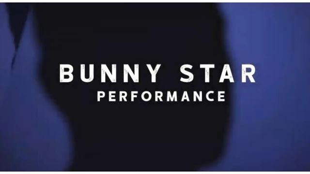 Bunny Star by Zee J. Yan