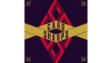 Card Sharps by Penguin Magic