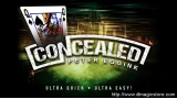 Concealed by Peter Eggink Concealed by Peter Eggink