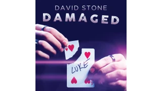 Damaged by David Stone Damaged by David Stone