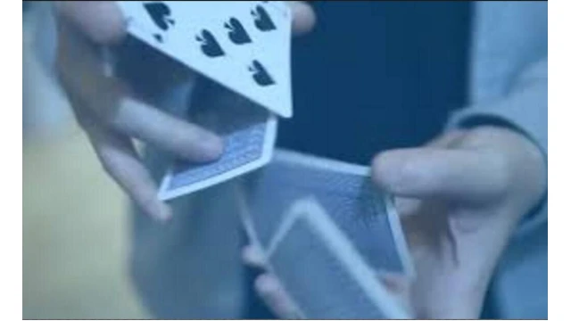 Di.Versity by Di.Cardistry Di.Versity by Di.Cardistry