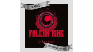  Falcon Ring by Josh Burch
