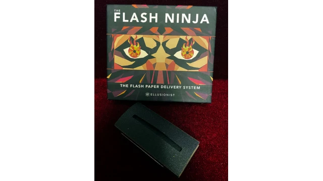 Flash Ninja by Terry Cheung