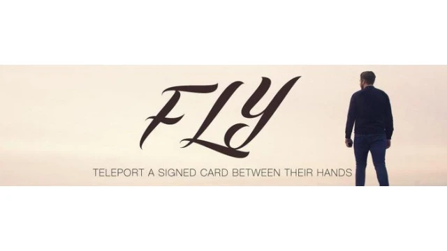 Fly by Geraint Clarke
