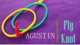 Fly Knot by Agustin