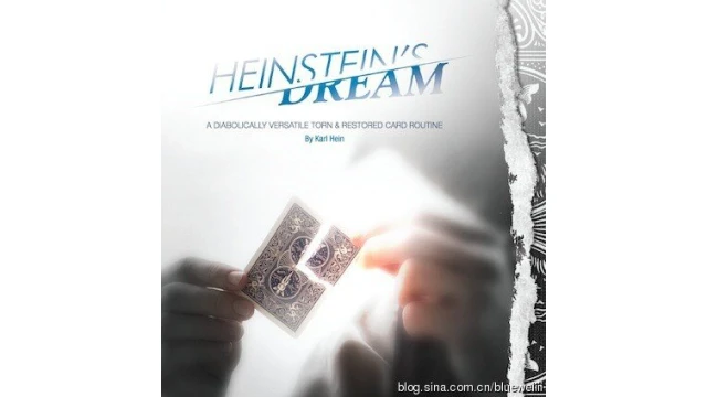 Heinstein'S Dream by Karl Hein