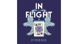 In Flight by David Regal