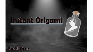 Instant Origami by Bachi Ortiz Instant Origami by Bachi Ortiz