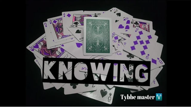 Knowing by Tybbe Master Knowing by Tybbe Master