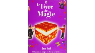 Le Livre De Magie (French) by Jane Bull