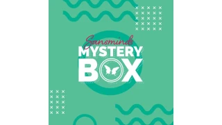 Mystery Box February 2020 Mystery Box February 2020