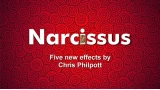Narcissus by Chris Philpott