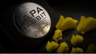 Papa Rabbit Hits The Big Time by Daryl