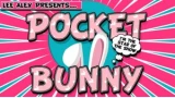 Pocket Bunny by Lee Alex