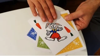 Rabbit On The Rainbow by Juan Pablo Magic Rabbit On The Rainbow by Juan Pablo Magic