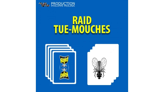 Raid Tue-Mouches by Philippe Molina