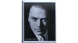 Rebel Without A Pause (Pcam 2001 Lecture Notes) by David Malek Rebel Without A Pause (Pcam 2001 Lecture Notes) by David Malek