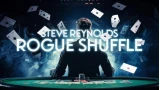 Rogue Shuffle by Steve Reynolds