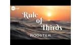 Rule Of Thirds by Rooster And Copeland Coins