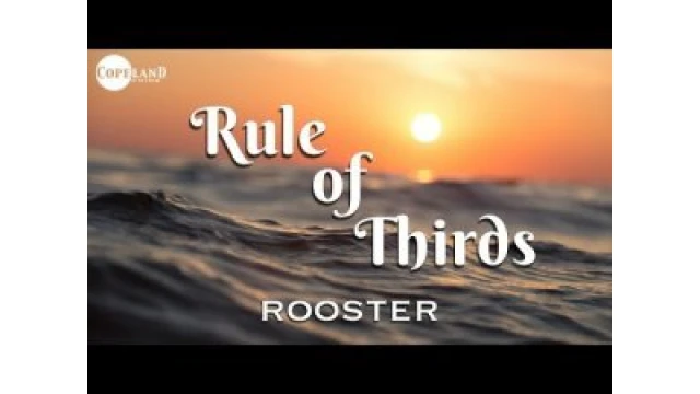 Rule Of Thirds By Rooster And Copeland Coins