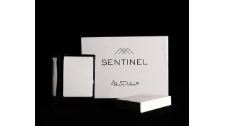 Sentinel by Adam Dadswell Sentinel by Adam Dadswell