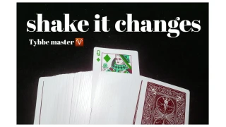 Shake it change by Tybbe master