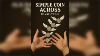 Simple Coins Across Online Lecture by Fuki