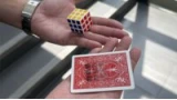 Solo Cube by Taiwan Ben