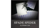 Spade Spider by Shawn Lee