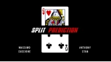 Split Prediction by Massimo Cascione & Anthony Stan