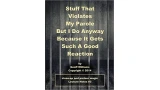 Stuff That Violates My Parole Notes by Geoff Williams