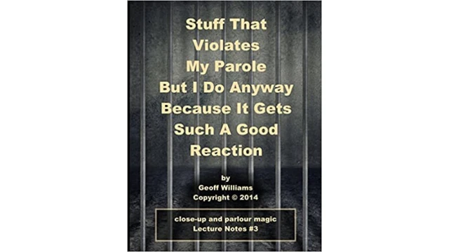 Stuff That Violates My Parole Notes by Geoff Williams
