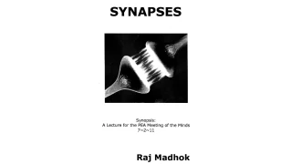 Synapses by Raj Madhok.