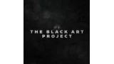 The Black Art Project by Will Tsai