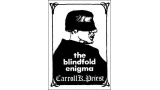 The Blindfold Enigma by Carroll K. Priest
