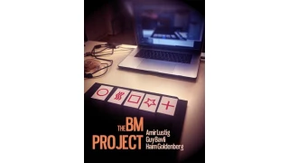 The Bm Project by Haim Goldenberg The Bm Project by Haim Goldenberg